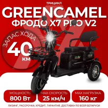 Трицикл GreenCamel Фродо X7 PRO V2 (60V20Ah 800W R10) дифференциал