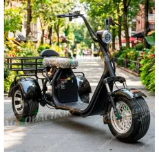  SHTENLI Электрический трицикл Shtenli Model 108