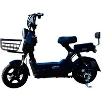 Электроскутер Terax Spike NS001