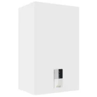 Отопительный котел Ferroli Bluehelix Hitech RRT 28 H (EU)
