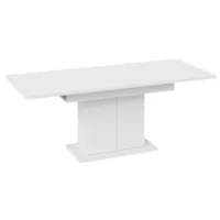 Кухонный стол Трия Детройт тип 1 (белый/белый)