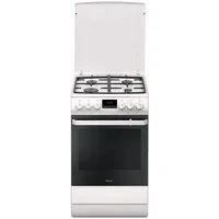 Кухонная плита Hansa FCMW59209