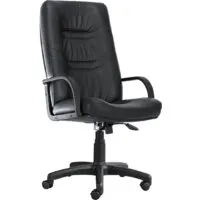 Офисное кресло Белс Министр PLN SP 400149-01/SPA (натуральная кожа, черный)