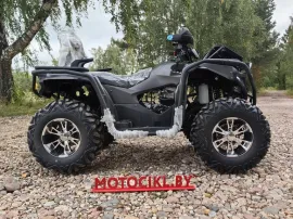 Квадрицикл Avantis Hunter Max 450 EFI Premium (4х4)