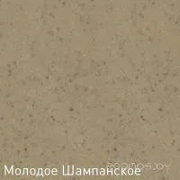 Кухонная мойка Zigmund Shtain KREIS 505 (Молодое шампанское)