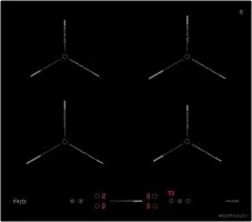 Варочная панель Making Oasis Everywhere P-ENGD