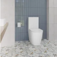 Унитаз напольный Lauter Vortex 2110022VF