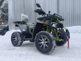 Квадроцикл Motoland Wild Track 200 X PRO