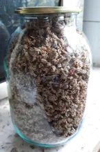Жмых смородины, крыжовника, винограда сушеный