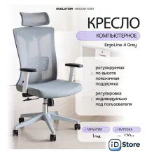 Офисное кресло Evolution ErgoLine 4 (серый)