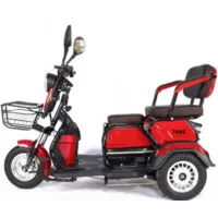 Электротрицикл SMD TRIKE