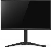Игровой монитор ChiQ LMD24F505-R