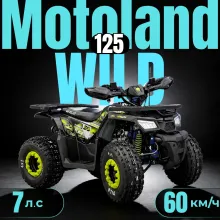 Квадроцикл ATV Motoland Wild 125 без ПТС (к-т з/ч)
