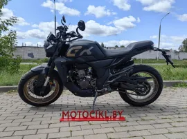 Мотоцикл ZONTES ZT350-GK (4T ZT184MP EFI) 17/17