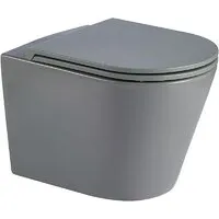 Унитаз подвесной WeltWasser Salzbach 043 MT-GR