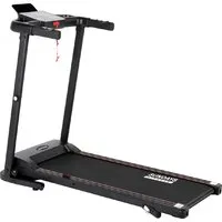 Электрическая беговая дорожка Sundays Fitness Simple Line ES-T4004