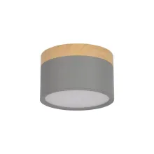Точечный светильник LOFT IT Grape 10162 (серый)