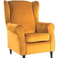 Интерьерное кресло Signal Baron Velvet Bluvel 68 (карри)