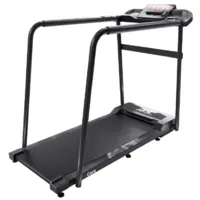 Электрическая беговая дорожка DFC Cora T165