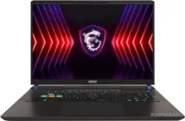 Игровой ноутбук MSI Vector 16 HX A14VGG-283RU