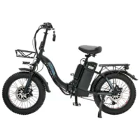 Электровелосипед Minako F11 Dual 48V 20 ah (черный)