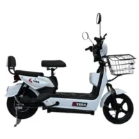 Электровелосипед Terax Kengo JY01 белый