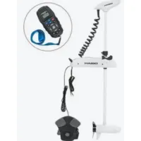 Мотор лодочный Haibo Penguin P65 12V