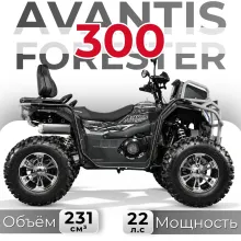 Квадрицикл Avantis Forester 300 Long Premium EFI с ПТС
