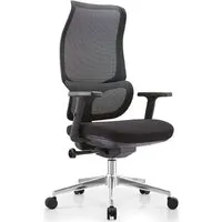 Офисное кресло SitUp Sakura Black Chrome (сетка Black/ Black)