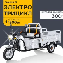 Электротрицикл грузовой Tsunami E2