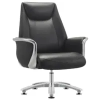 Кресло офисное Hawasan Premium EX-801 / 533235 (черный)