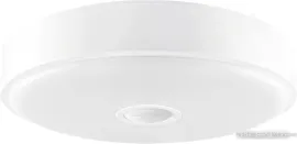 Светильник-тарелка Yeelight Crystal Sensor Ceiling Light mini XD091W0CN