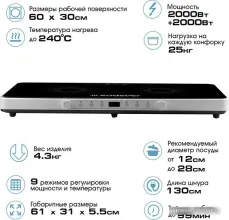 Настольная плита Endever Skyline IP-61