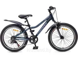 Двухколесный велосипед FAVORIT, модель VISTA-22VA, VST22V11GR-AL