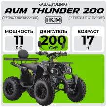 Квадроцикл AVM Thunder 200