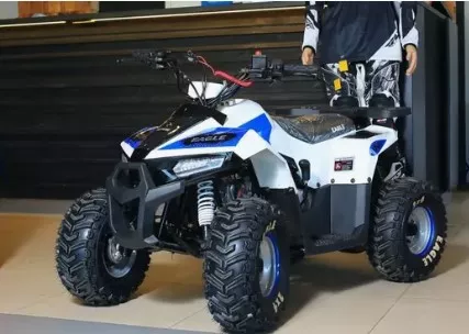 Квадроцикл для ребенка 3-8 лет ATV Motoland Eagle 110 без ПТС (к-т з/ч)