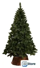 Ель Ёлушка Невская ЕНЕВ 18 (1.8м)