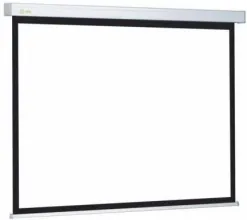 Проекционный экран CACTUS Wallscreen CS-PSW-124x221