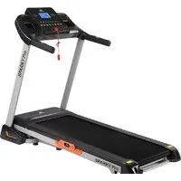 Электрическая беговая дорожка DFC Sparky Pro T635