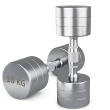 Гантели UNIX Fit PRO круглые, хромированные (10 кг, 2 шт)