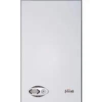 Отопительный котел Ferroli Divabel F24