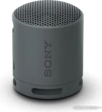 Беспроводная колонка Sony XB100 (черный)