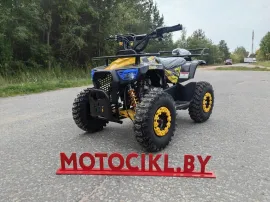 Детский Квадроцикл Avantis ATV Classic mini 4T P