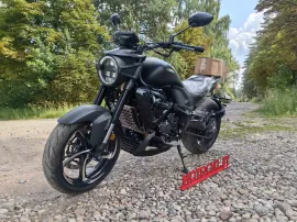 Мотоцикл ZONTES ZT350-S (4T ZT184MP EFI) 17/17