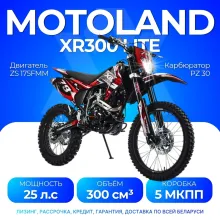 Мотоцикл Кросс Motoland XR300 LITE (175FMM)