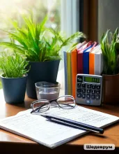 Бухгалтерский учёт для организаций