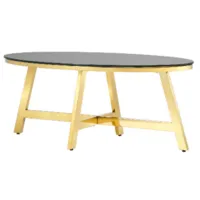 Журнальный столик Stool Group Альба 100x50 / ECT-095-O-TG (стекло черное/сталь золото)