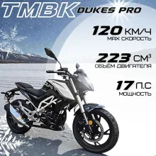 Мотоцикл TMBK DUKES PRO