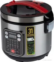 HomeStar HS-2031