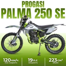 Мотоцикл эндуро PROGASI PALMA 250 SE